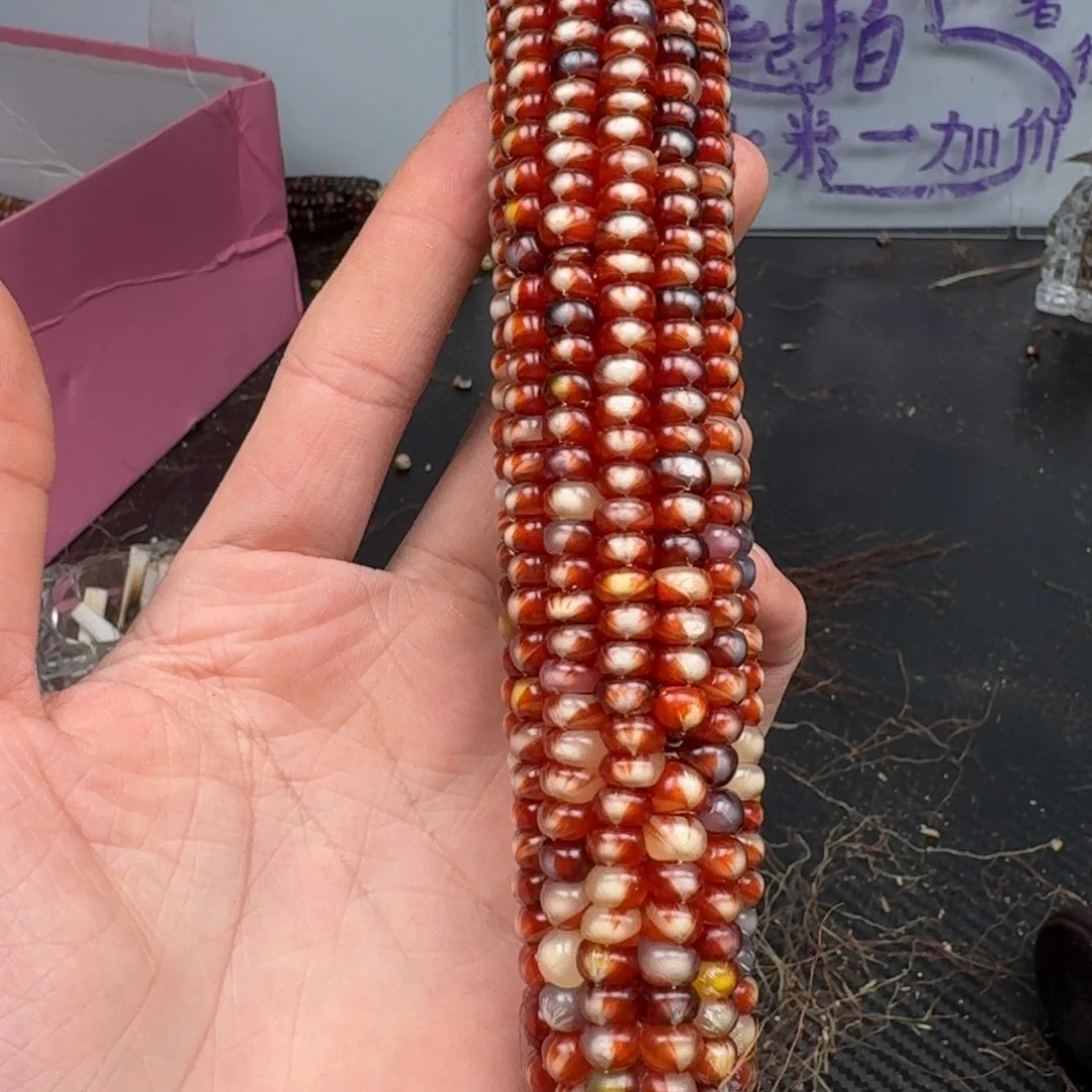 柏香籽/百香籽吊坠月****星