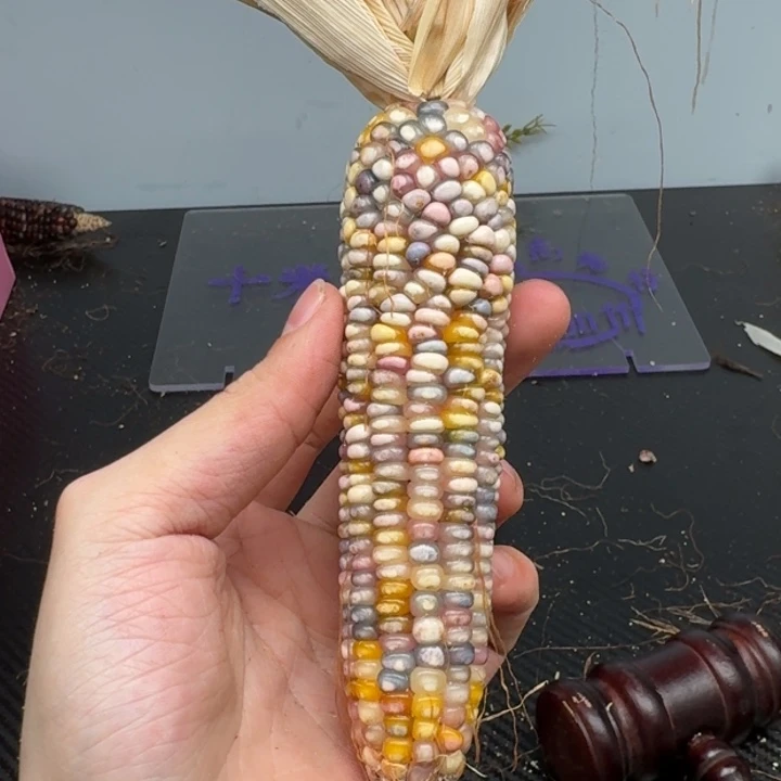 柏香籽/百香籽吊坠陆*