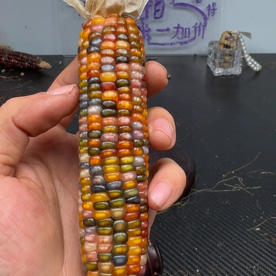 柏香籽/百香籽吊坠燕*