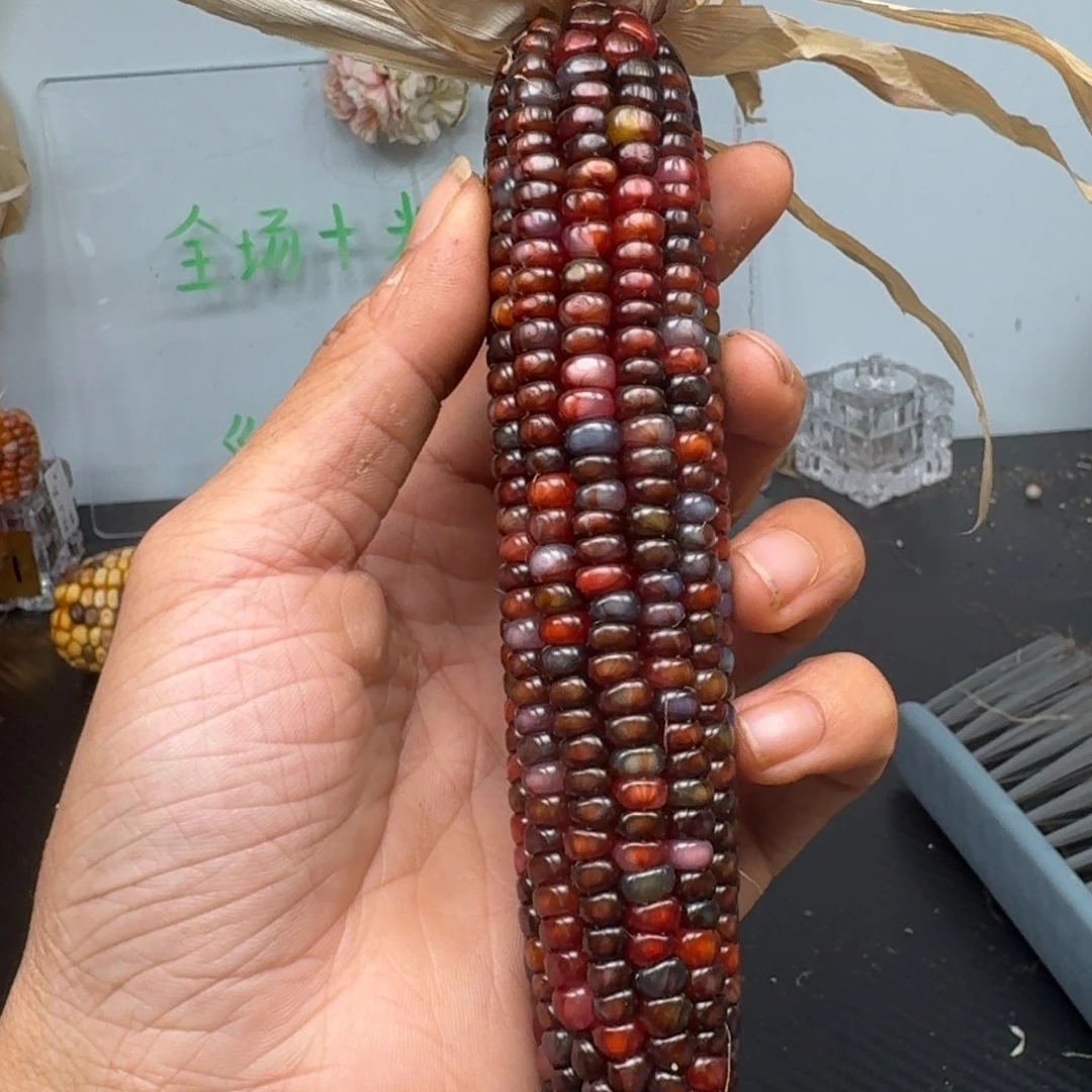 柏香籽/百香籽吊坠达*