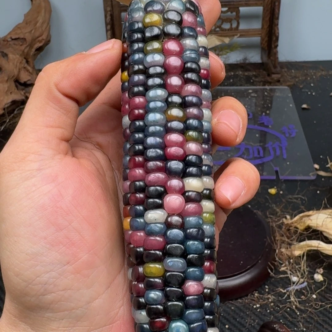 柏香籽/百香籽吊坠空*