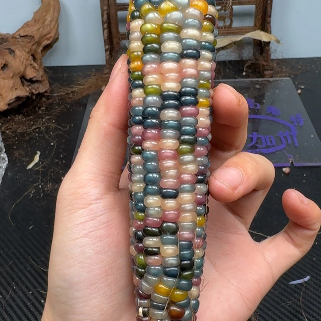 柏香籽/百香籽吊坠。