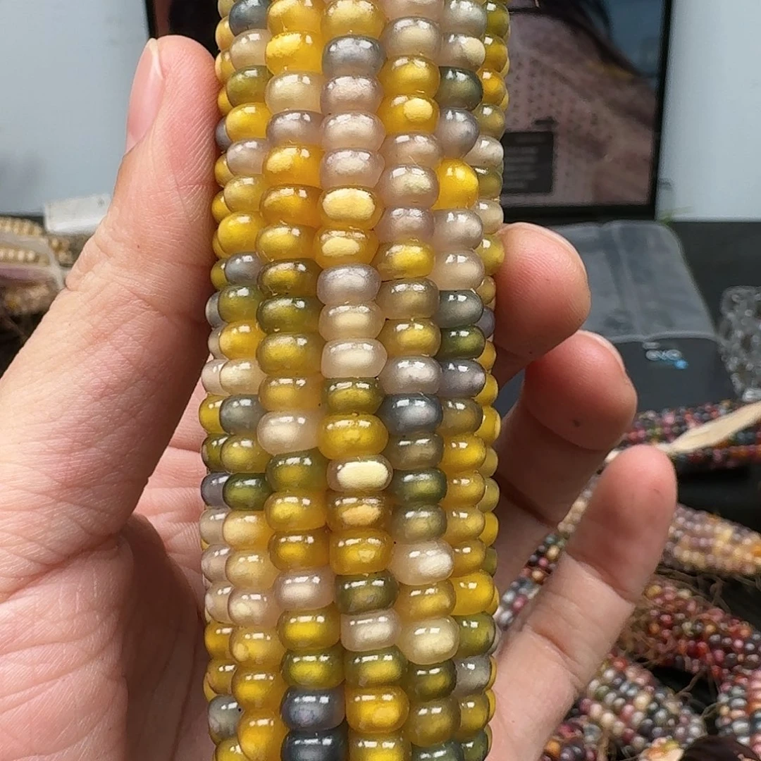柏香籽/百香籽吊坠淇*
