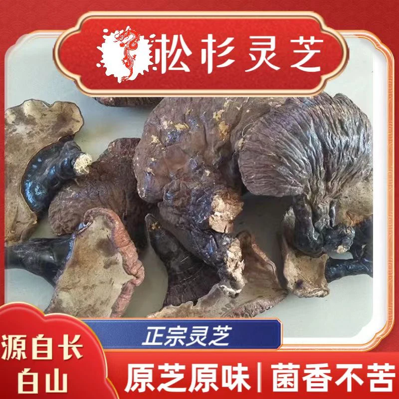【八千里】开航松杉 灵芝  泡水煲汤