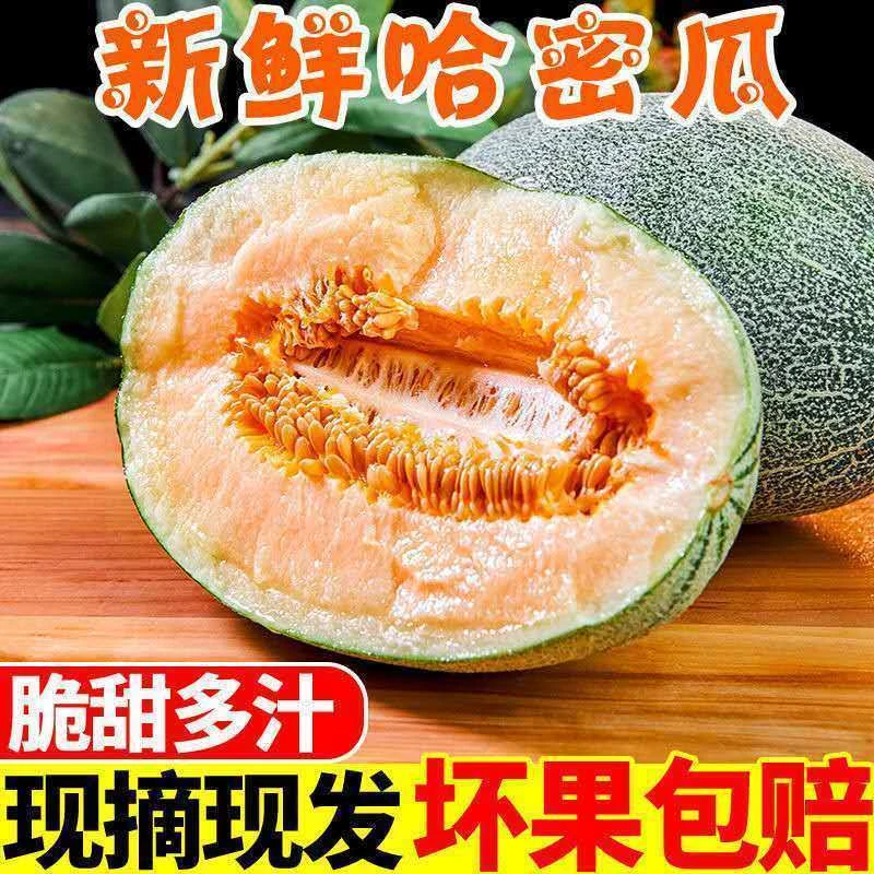 海南哈密瓜5斤甜蜜爽口新鲜哈密瓜当季现摘脆甜多汁哈密瓜包邮3斤