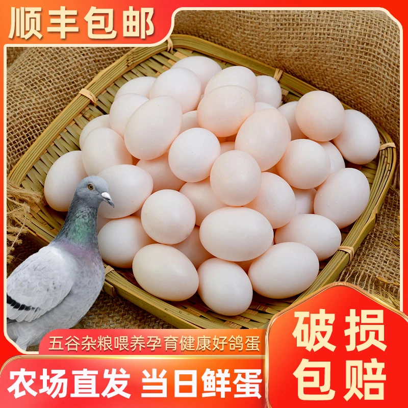 现货直发鸽子蛋10枚顺丰包邮精选新鲜鸽子蛋30枚农家散养杂粮土鸽