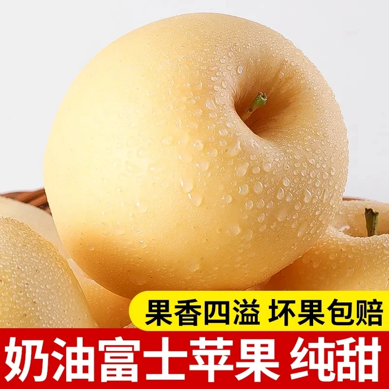 山东烟台奶油富士苹果脆甜水果新鲜现摘山地超甜多汁清脆奶香苹果