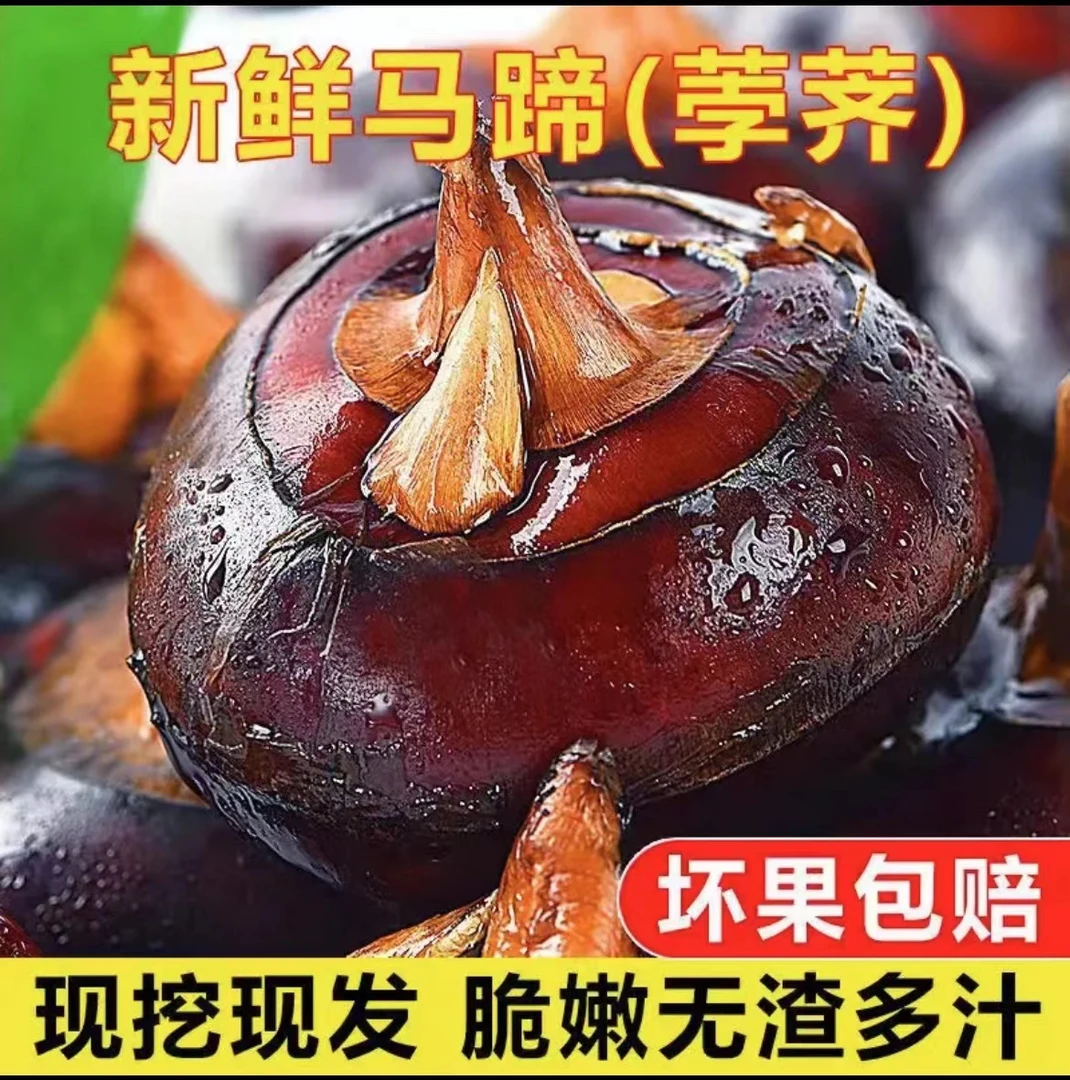 正宗现挖桂林荔浦马蹄荸荠果王脆甜化渣多汁清甜爽口新鲜清脆包赔