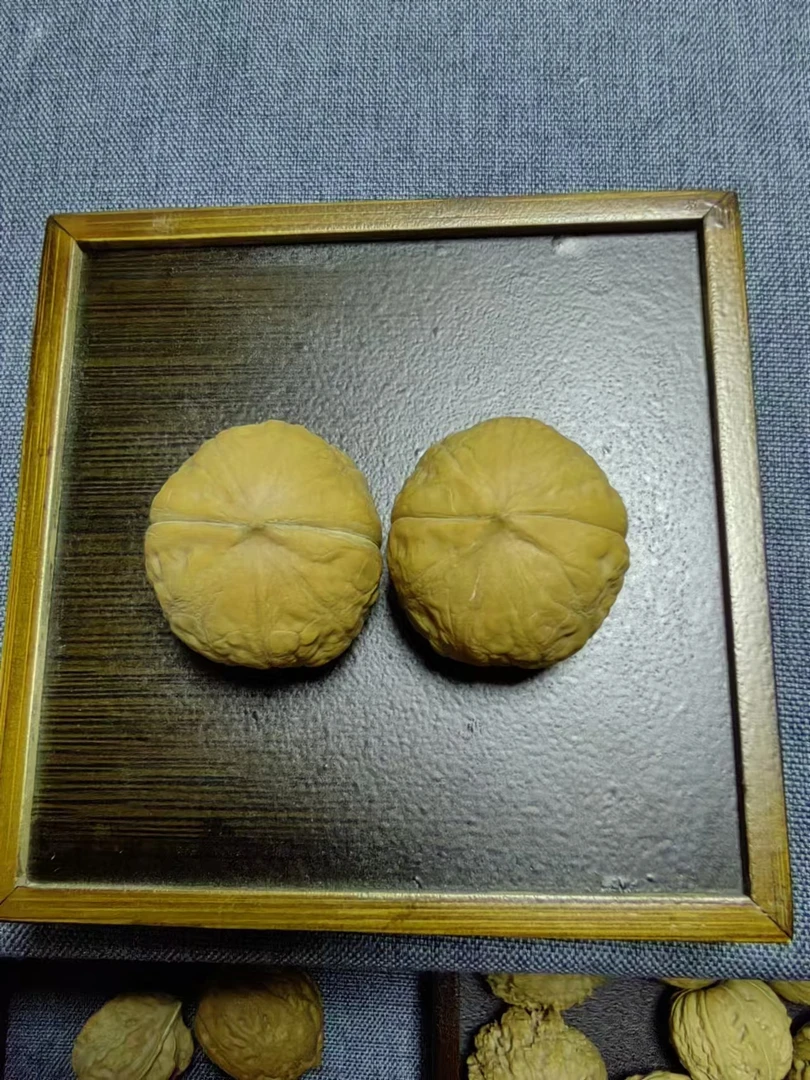 野生核桃小手捻 光头上色快 尺寸29