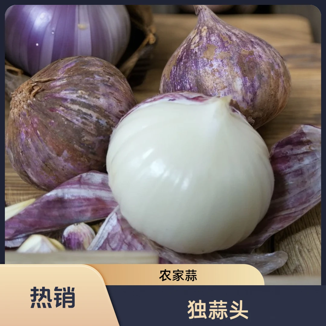 云南紫皮蒜独蒜头农家蒜红皮蒜土蒜香蒜紫皮大蒜独蒜大蒜独头蒜