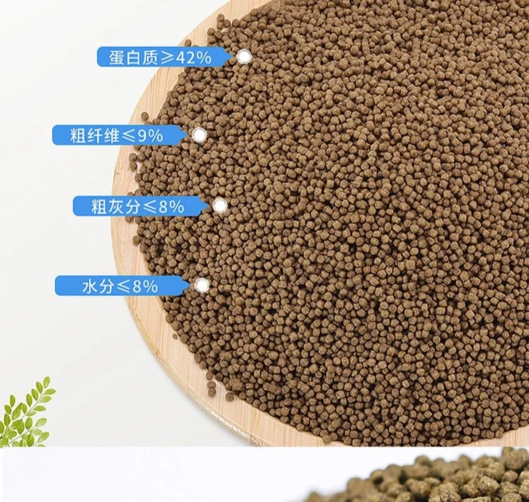兰寿金鱼专用高蛋白小颗粒家用鱼粮