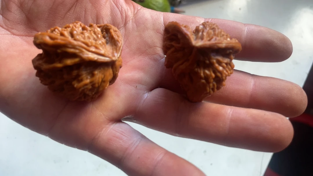 文玩核桃盘山异形