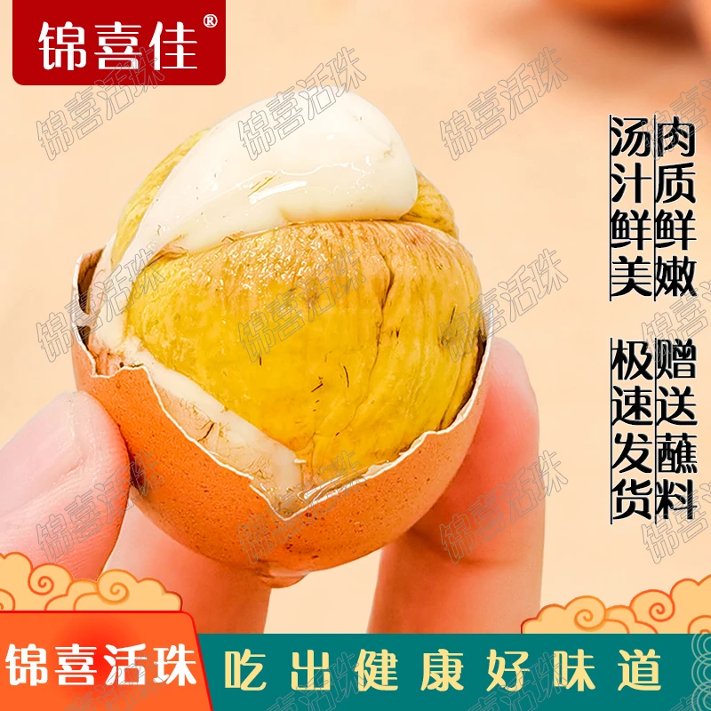 锦喜佳40枚活珠子大个红壳新鲜13天五香味开袋即食香辣钢化蛋旺蛋