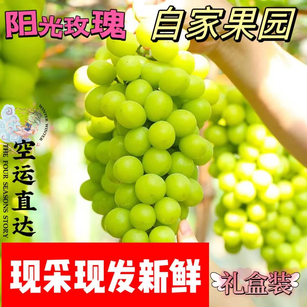 四川凉山精品新鲜精选水果礼盒装