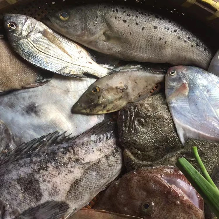青岛海捕野生小杂鱼，3斤5斤【顺丰包邮】 炖汤红烧都好吃