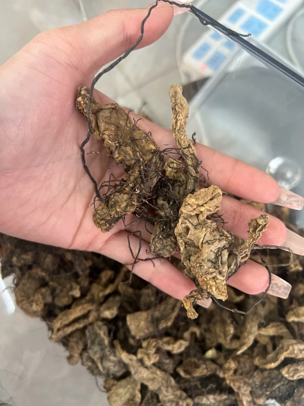 妮妮推荐 天M菜200g