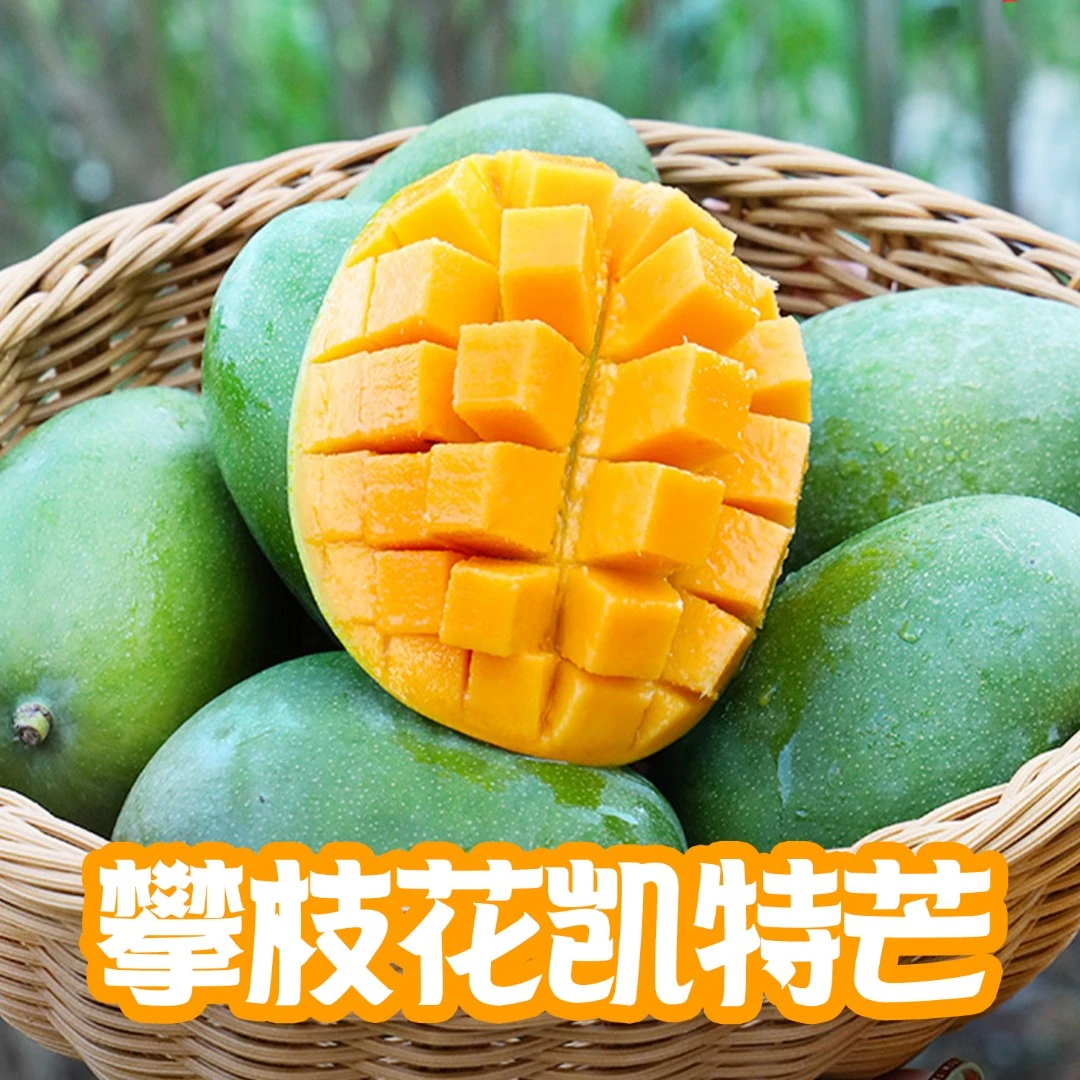 【坏果包赔】四川攀枝花凯特芒果2/5/9斤大果放软食用