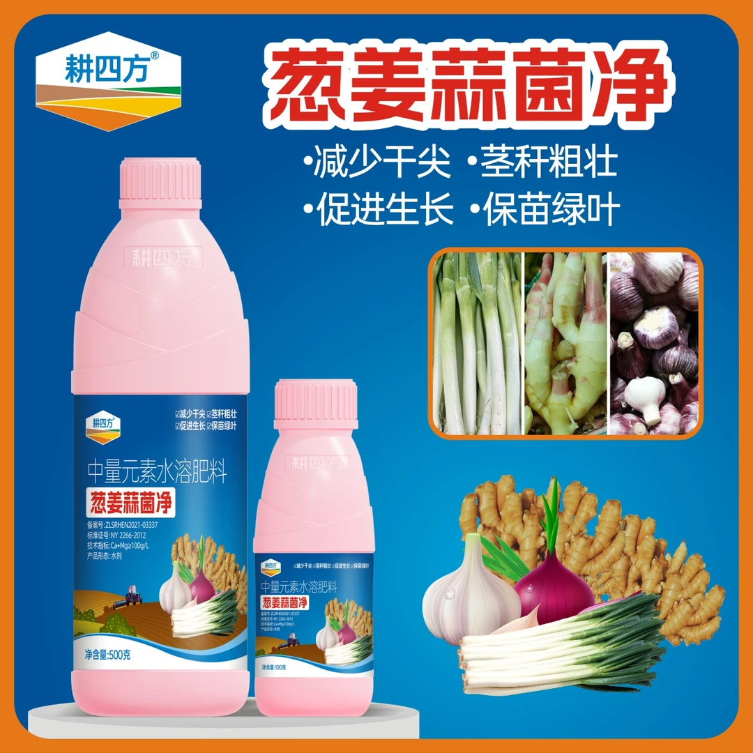 葱姜蒜菌净大蒜叶干尖黄叶专用菌清素叶片肥厚速青膨大果实增产肥