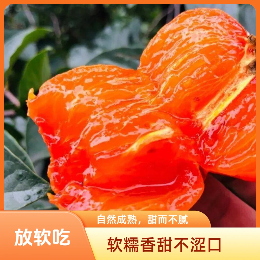 【直播专属放软吃纯甜不涩口】火晶柿子软糯香甜新鲜超甜爆浆30枚w
