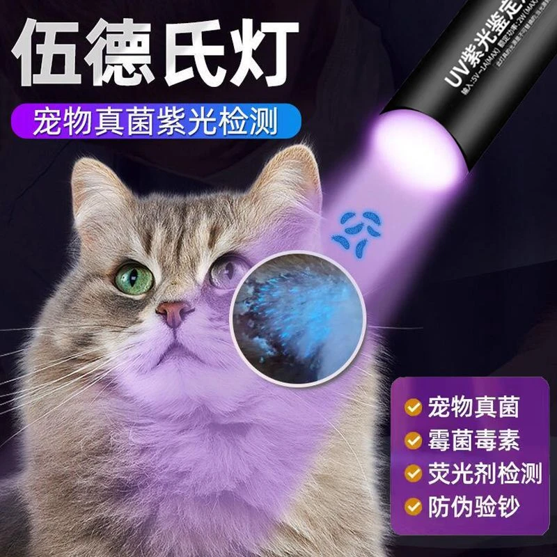 伍德氏灯照猫藓灯紫外线荧光剂紫光灯宠物生病宠物真菌检测手电筒