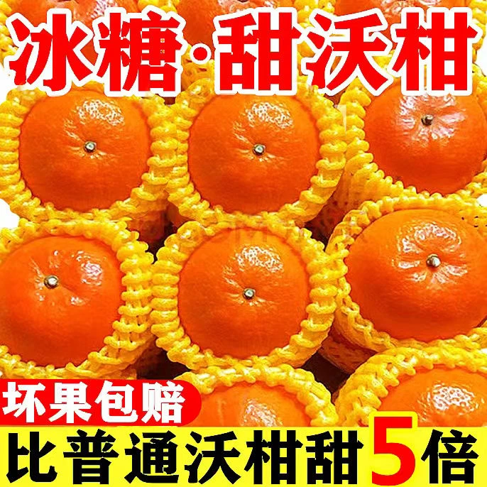 【超甜】正宗广西武鸣沃柑当季新鲜水果贵妃橘子薄皮桔香甜皮薄清甜