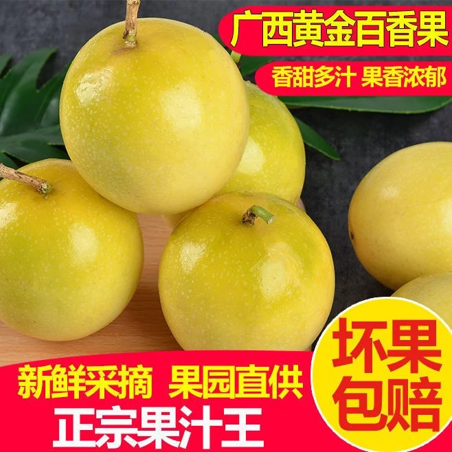 现摘现发 黄金百香果新鲜包邮5斤大果当季百香果黄金果热情果9号5