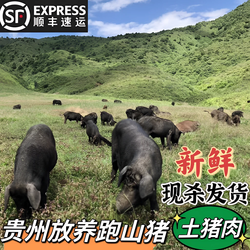 贵州跑山放养黑毛猪（瘦肉）【现杀现卖，顺丰包邮次日送达】