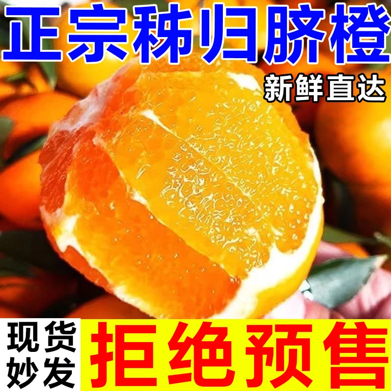 脐橙爆甜爆汁阳光湖北秭归橙自然采摘酸甜橙子皮薄充足现摘新鲜