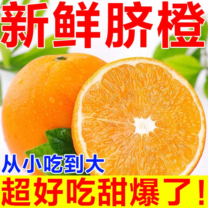 【爆汁】正宗脐橙种植新鲜采摘皮薄孕妇水果爆甜细腻无核香甜现摘
