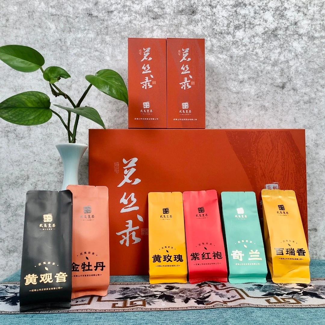【益元甄选】武夷山武夷岩茶茗枞汇聚六种 茗丛录 100g  茶叶包邮