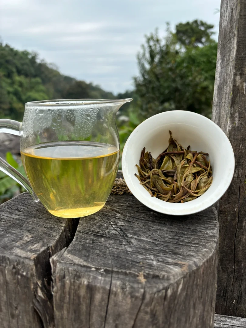 【茶王茶树花100克散】 普洱茶 马拉菲尔茶厂