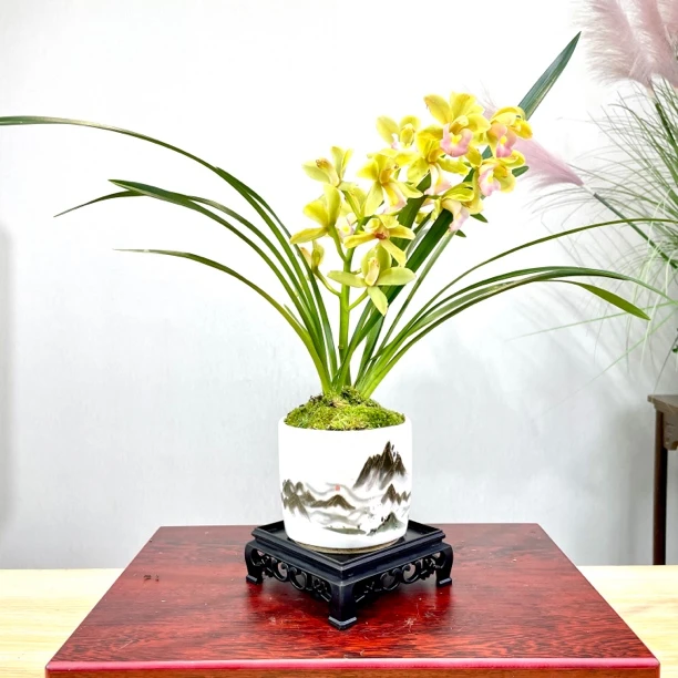 《兰花》翡翠冰心金山国风陶瓷盆客厅办公茶桌室内盆栽绿植阳台