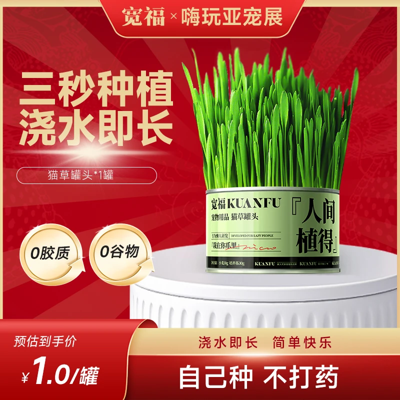 宽福猫草罐头小麦种子零食育苗盘盆栽化化毛膏毛球猫