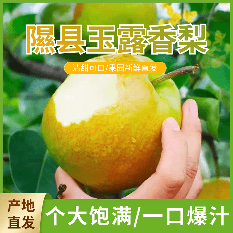 8斤装优惠促销正宗山西玉露香梨脆甜多汁新鲜当季水果皮薄
