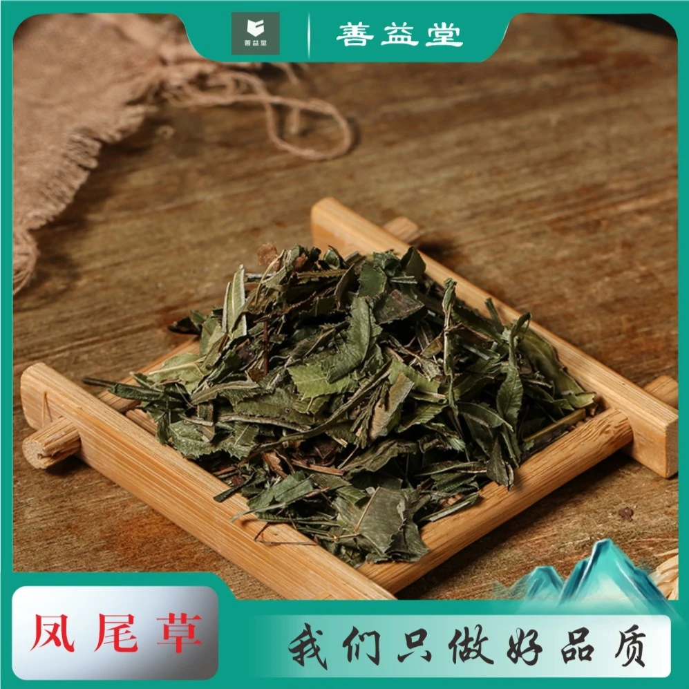 严选正宗凤尾草干净无杂无硫熏晒干野生凤尾草泡水食材250克包邮