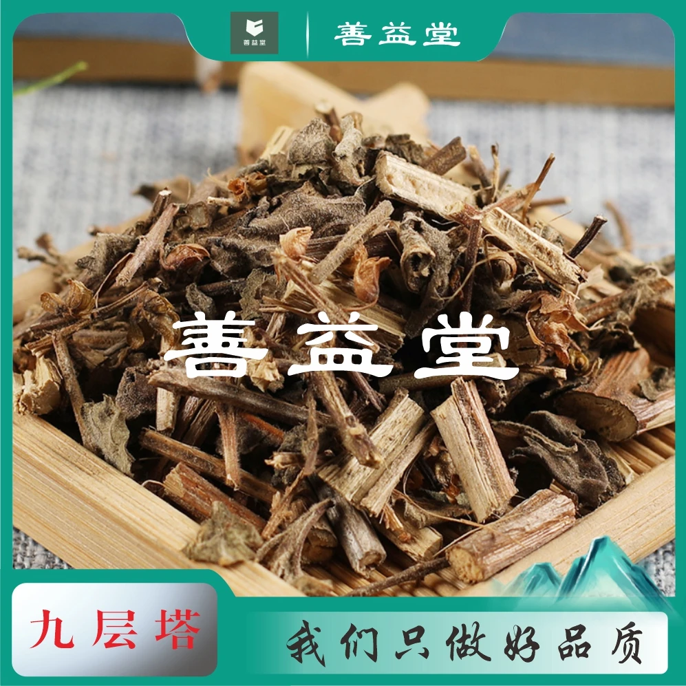 【九层塔】抖音新货严选叶菜类金不换九层塔干货明悟推荐500克包邮