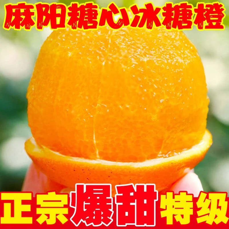 【新店半价】湖南麻阳冰糖橙子3/5/9斤装一箱新鲜现摘应季孕妇水果