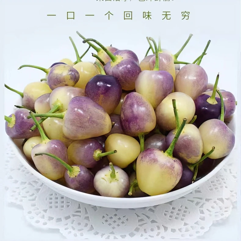 广西生鲜五彩辣椒2斤/3斤/5斤包邮灯笼椒七彩椒产地直发