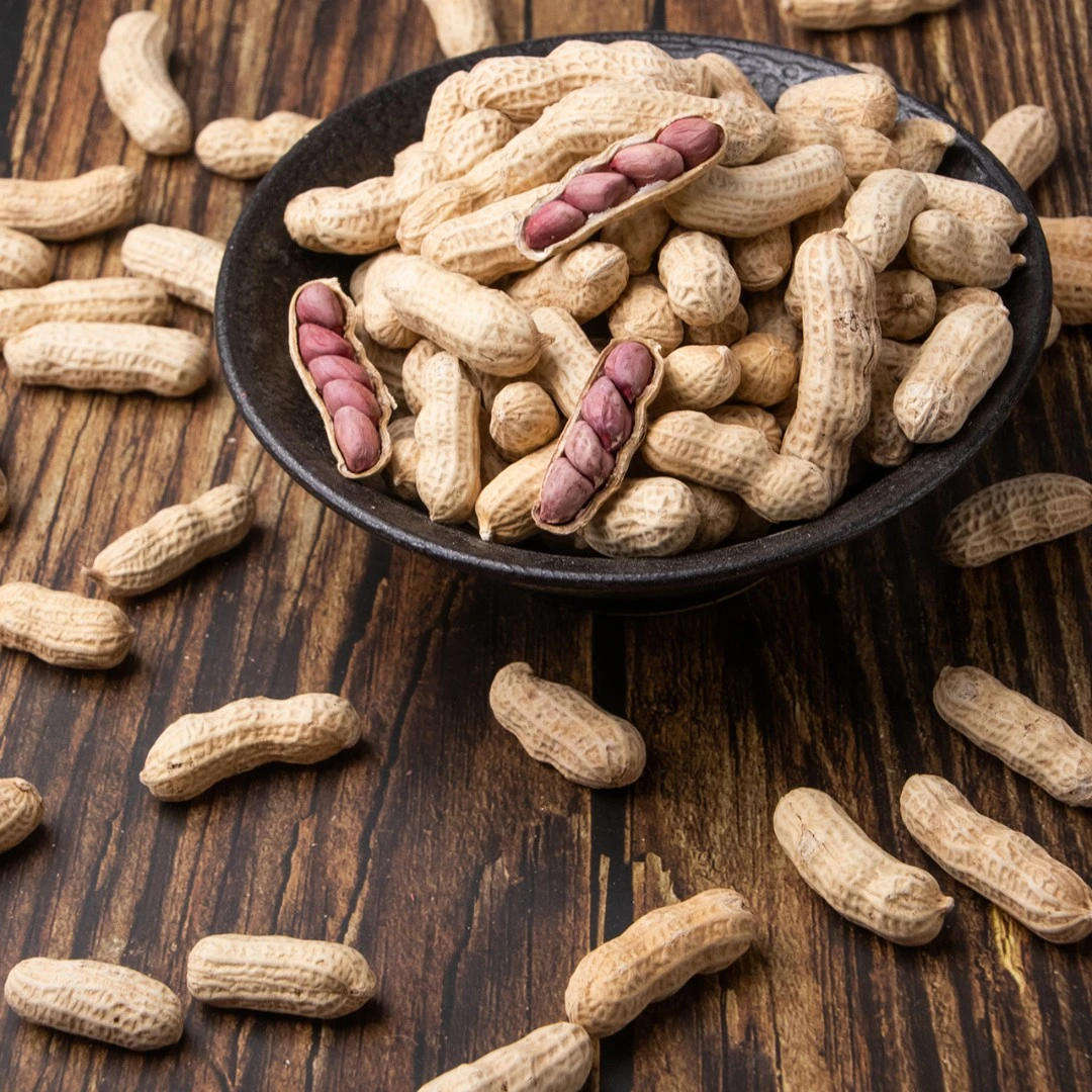 福建龙岩花生农家种植湿烤花生香酥农产品食用1斤/3斤/5斤