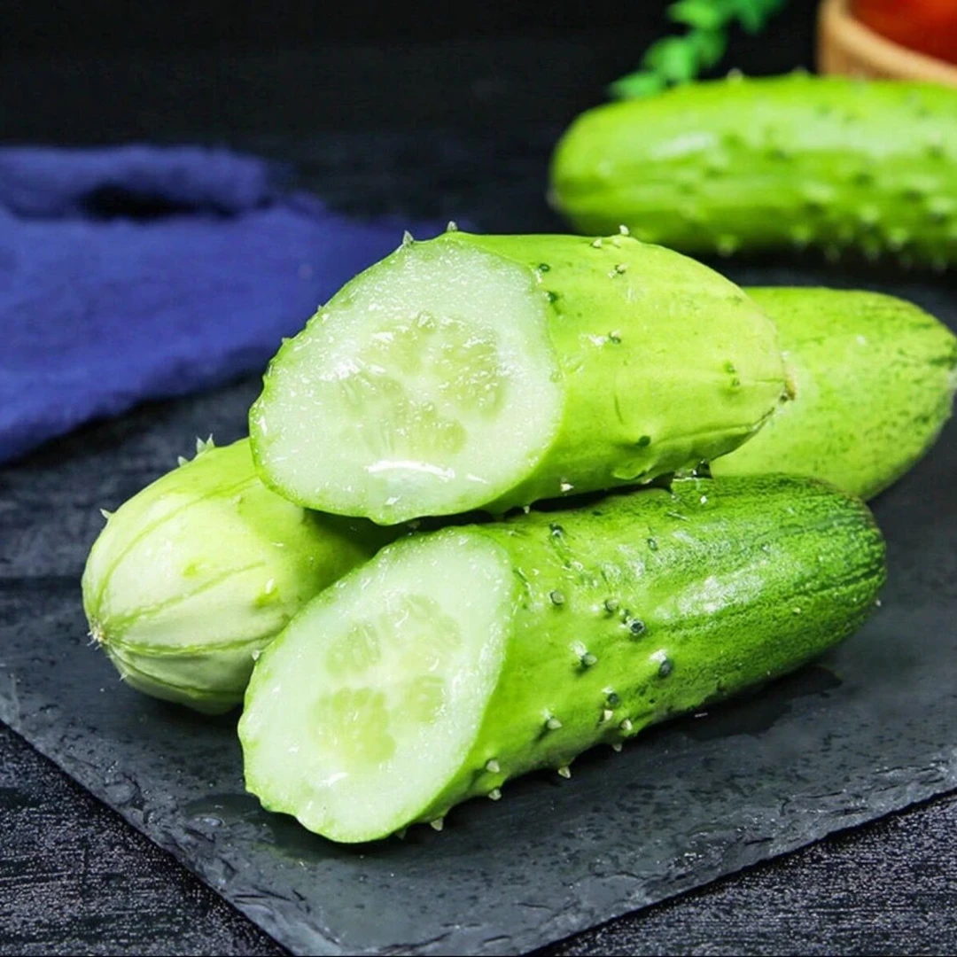 【水果黄瓜】1满地爬黄瓜种子水果黄瓜种孑苗盆栽四季蔬菜种籽