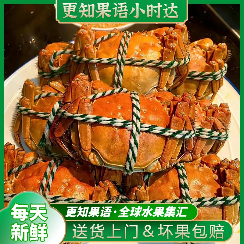 【2.3-2.5两母蟹】大闸蟹6只装