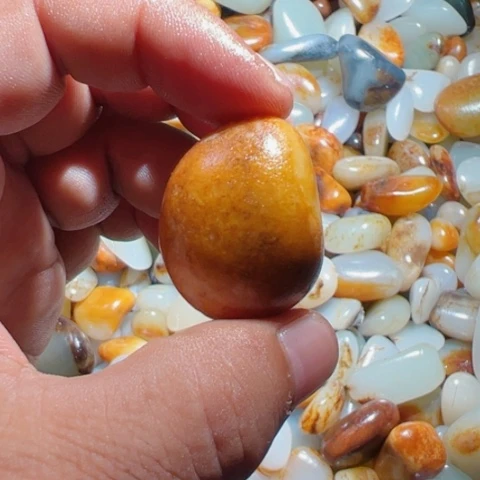 和田玉（糖玉）手链未镶嵌37