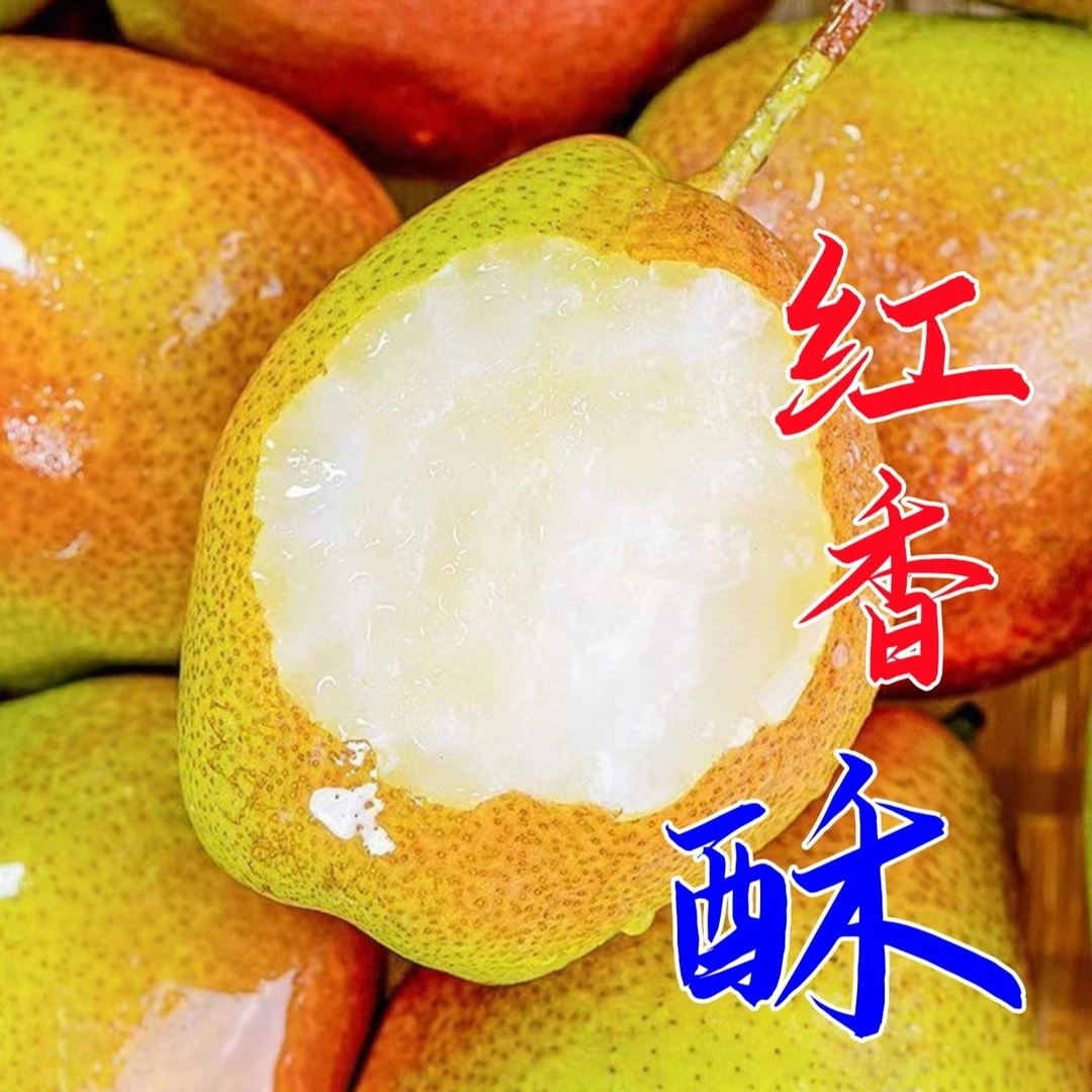 【粉丝福利】红香酥梨香梨脆甜新鲜水果整箱包邮批发重4.5/8.5斤