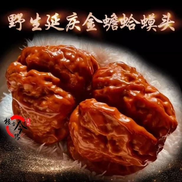 核古今缘(新果头货-蛤蟆头文玩核桃）山地果骨质硬皮色佳克重压手