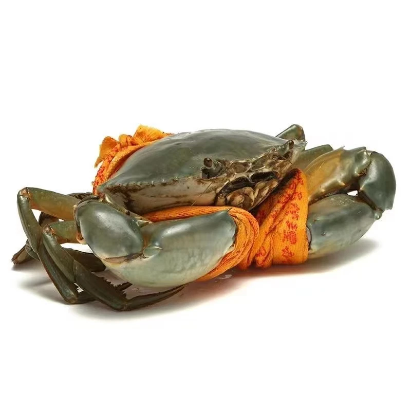 现称改价【勿拍】克重现称浙江三门青蟹海鲜礼盒包装