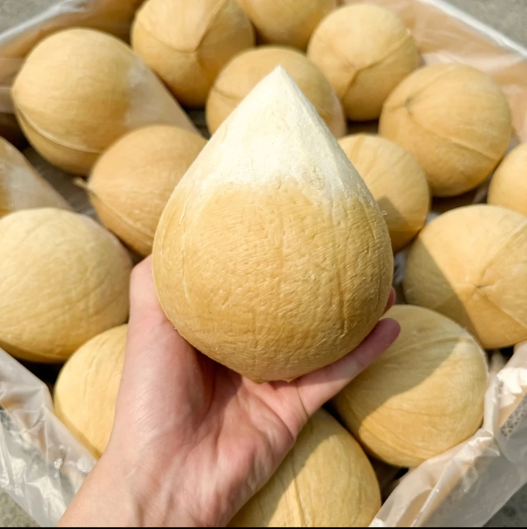 【试吃福利】泰国丹嫩沙多椰皇2/4/6颗孕妈水果天然电解质送货到家
