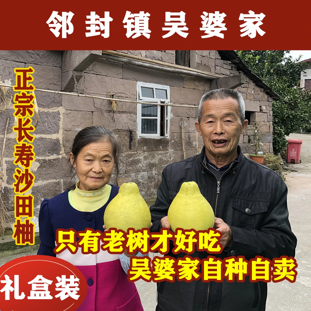 【每箱5个单果1.7-1.9斤】老树沙田柚邻封吴婆家自种自销纯甜无酸