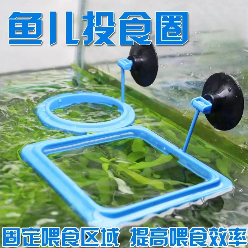 鱼儿投食圈水族箱鱼缸鱼食鱼粮鱼饲料喂食圈固定喂食器塑料加厚