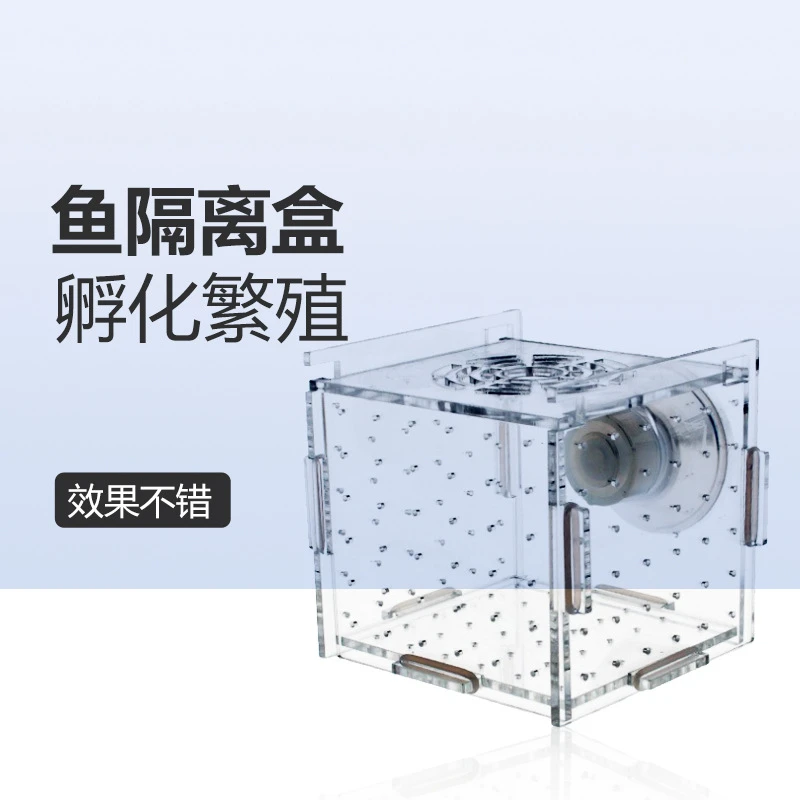 亚克力隔离盒鱼缸透明水族小鱼苗孵化器繁殖箱产盒单双多格隔离网