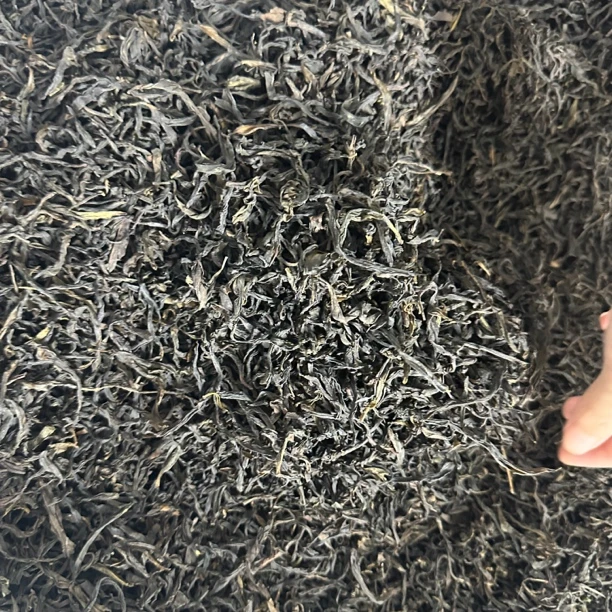 单丛茶岭头单丛番薯香蜜兰香凤凰单枞工夫茶